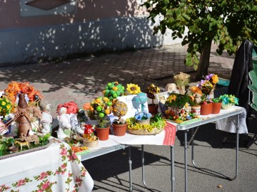 Фото с фестиваля "Антоновские яблоки" в Ельце
