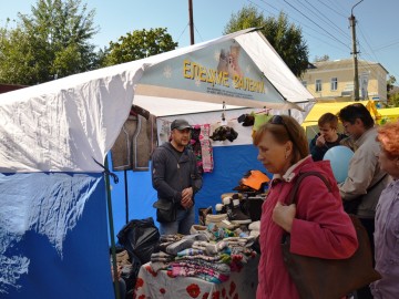 Фото с фестиваля "Антоновские яблоки" в Ельце