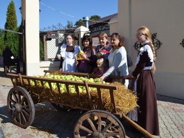 Фото с фестиваля "Антоновские яблоки" в Ельце