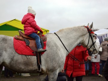 Межрегиональный молодёжный фестиваль исторической реконструкции «СтрЕлец - 2017» (Фото и видео)