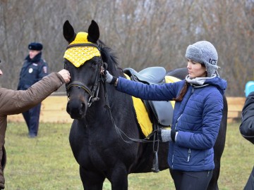 Межрегиональный молодёжный фестиваль исторической реконструкции «СтрЕлец - 2017» (Фото и видео)