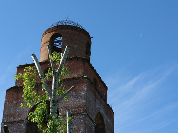 Обращение к главе города Ельца Сергею Панову
