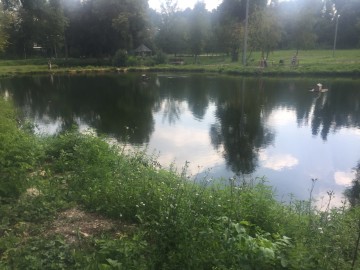 Петровский парк в Ельце преобразился?