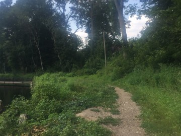 Петровский парк в Ельце преобразился?