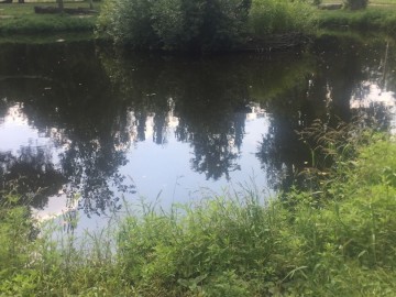 Петровский парк в Ельце преобразился?