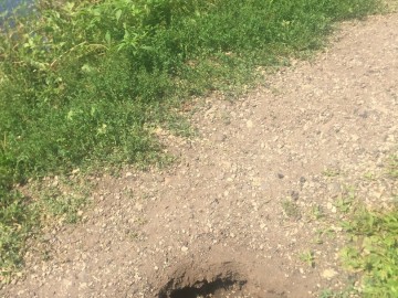 Петровский парк в Ельце преобразился?