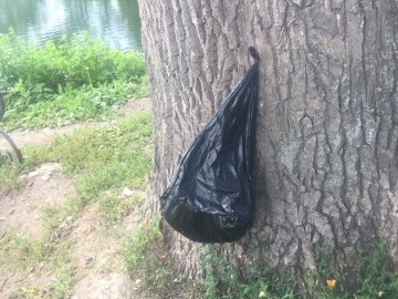 Петровский парк в Ельце преобразился?