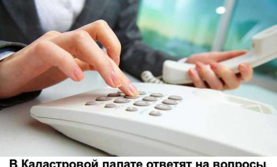 14 сентября в Кадастровой палате по Липецкой области пройдёт горячая телефонная линия по вопросам получения сведений из ЕГРН