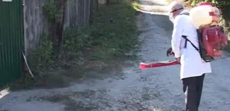 В Ельце на пересечение улиц Клары Цеткин и Фурманова введён карантин по бешенству