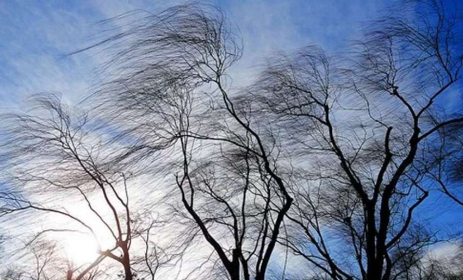 МЧС предупреждает об усилении северо-западного ветра на территории Липецкой области  до 17 м/с