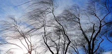 МЧС предупреждает об усилении северо-западного ветра на территории Липецкой области  до 17 м/с