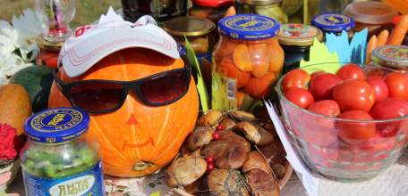 Елецкий район приглашает на ярмарку в с. Лавы