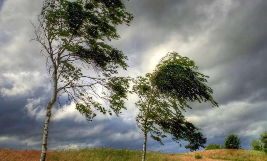 26 и 27 сентября на территории Липецкой области ожидается усиление ветра с порывами до 20 м/с