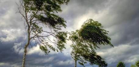 26 и 27 сентября на территории Липецкой области ожидается усиление ветра с порывами до 20 м/с