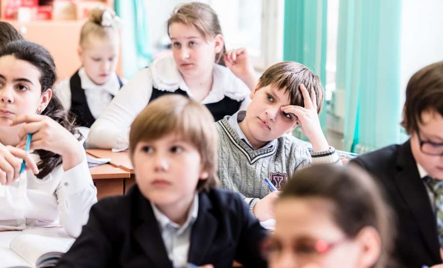 «Социальный кодекс» для школьников и студентов в Липецкой области