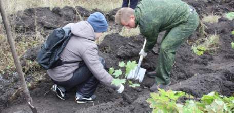 Елец участвует во всероссийском субботнике «Зелёная Россия»