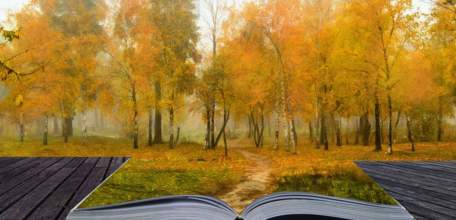 Программа мероприятий библиотек Ельца в октябре 2018 г.