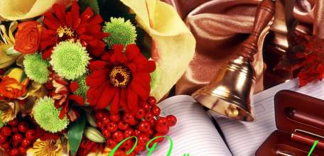 Руководители Липецкой области поздравили учителей с профессиональным праздником