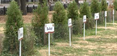 Дело вандалов, вырвавших таблички с названиями городов воинской славы в сквере Ани Гайтеровой, получило продолжение