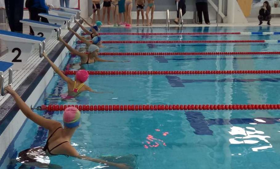 В Елецком районе прошли соревнования по плаванию в зачёт круглогодичной спартакиады учащихся