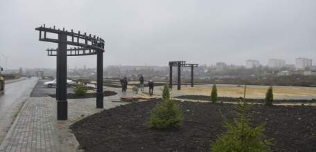 В сквере микрорайона Александровский в Ельце высадили ели и туи