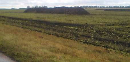 Аграрии Елецкого района завершили уборку урожая 2018 года