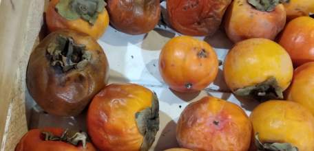 Как встречают покупателей торговые предприятия Елецкого района Липецкой области