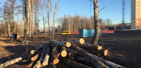 В городе Ельце происходит уничтожение парка 40-летия Октября!