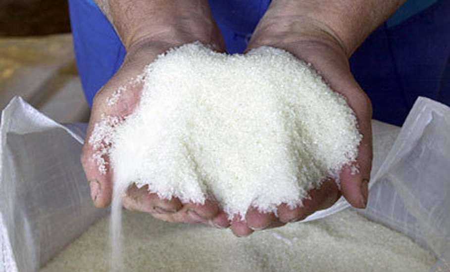 Сахарные заводы Липецкой области с начала сезона произвели более 560 тыс. тонн продукции