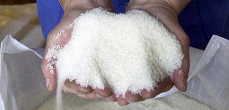 Сахарные заводы Липецкой области с начала сезона произвели более 560 тыс. тонн продукции