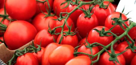 Липецкая область продолжает удерживать лидирующие позиции по производству овощей закрытого грунта