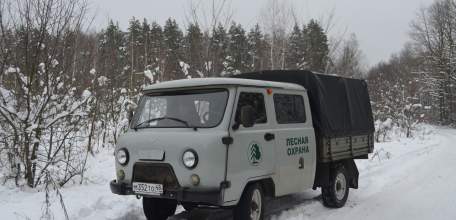 О мерах по усилению охраны хвойных молодняков в Липецкой области