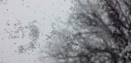 Осадки в Липецкой области усилятся