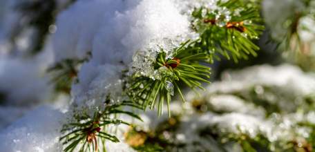 В Липецкой области потеплеет