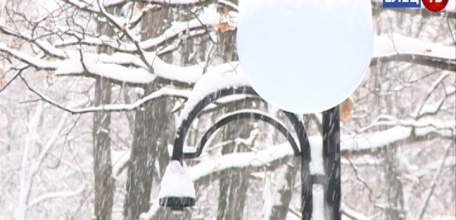 Скверы города вновь пострадали от рук вандалов