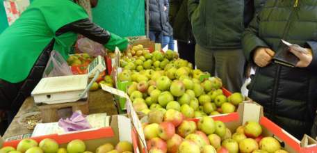 Почти 300 областных ярмарок прошло в 2018 году в регионе