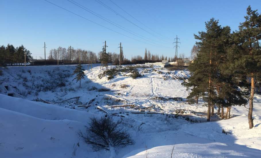 Незаконная вырубка парка 40-летия Октября в Ельце продолжается со стороны трассы М-4 Дон