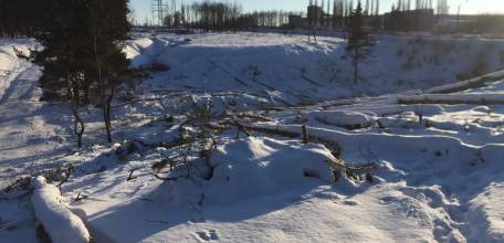 Незаконная вырубка парка 40-летия Октября в Ельце продолжается со стороны трассы М-4 Дон