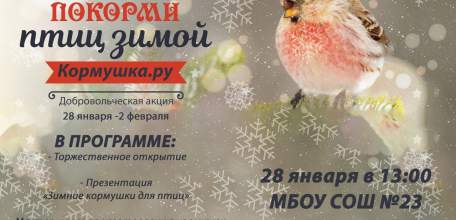 В Липецкой области проходит добровольческая акция «Кормушка.ру»