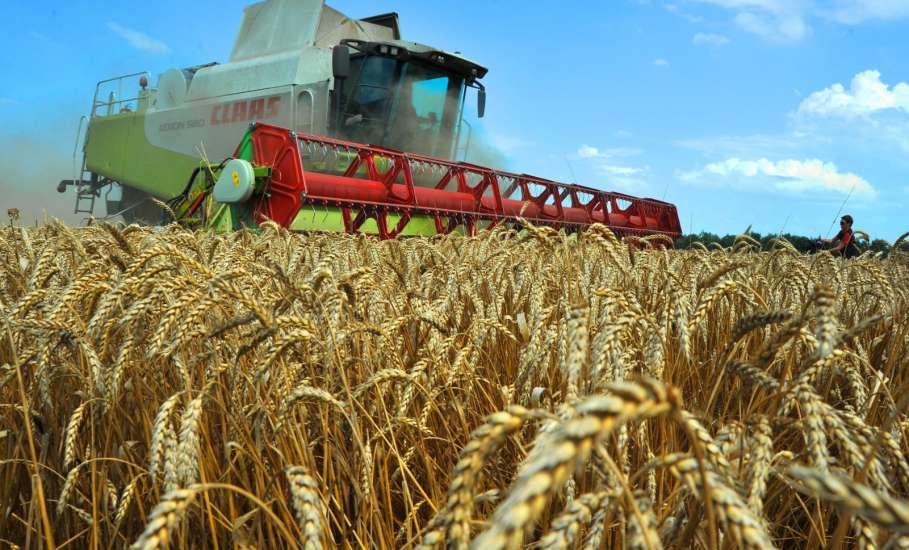 Липецким аграриям в 2019 году на льготные кредиты выделено более 1,3 млрд. рублей субсидий