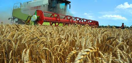 Липецким аграриям в 2019 году на льготные кредиты выделено более 1,3 млрд. рублей субсидий