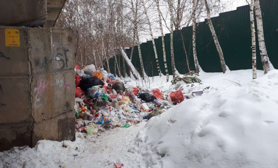 Компания «ТЭКО-Сервис» обращается к жителям с просьбой не создавать свалку мусора в переулке Детский