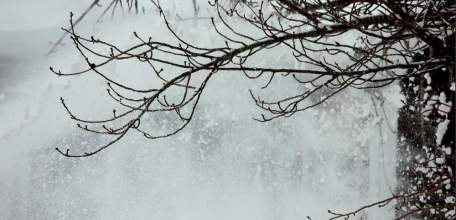 11 февраля на территории Липецкой  области ожидается гололёд, налипание мокрого снега, видимость при тумане менее 500 м