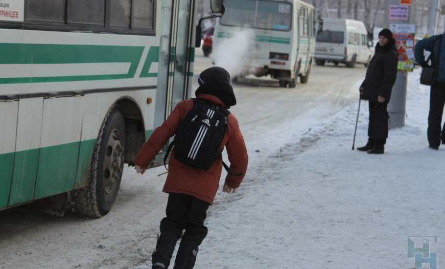 В Липецкой области дети из многодетных семей смогут пользоваться правом бесплатного проезда круглый год