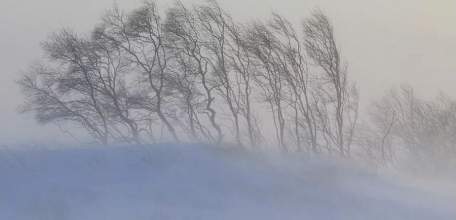 17-18 февраля на территории Липецкой области ожидается погода с неблагоприятными метеоусловиями