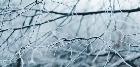 На территории Липецкой области 21 февраля ожидается гололёд и налипание мокрого снега