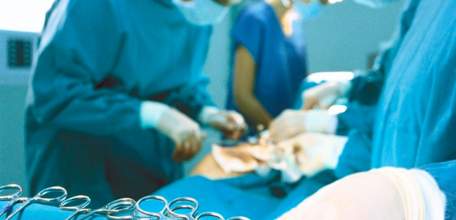 29 медикам присвоено звание «Заслуженный работник здравоохранения Липецкой области»