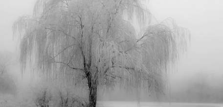 На территории Липецкой области 1 марта ожидается гололёд, налипание мокрого снега