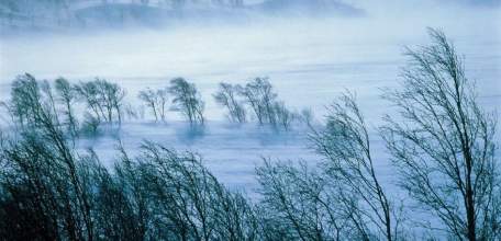 6 марта на территории Липецкой области ожидается сильный ветер с порывами до 15-17 м/с