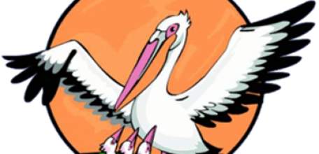 Лучшего учителя выберут в Липецкой области